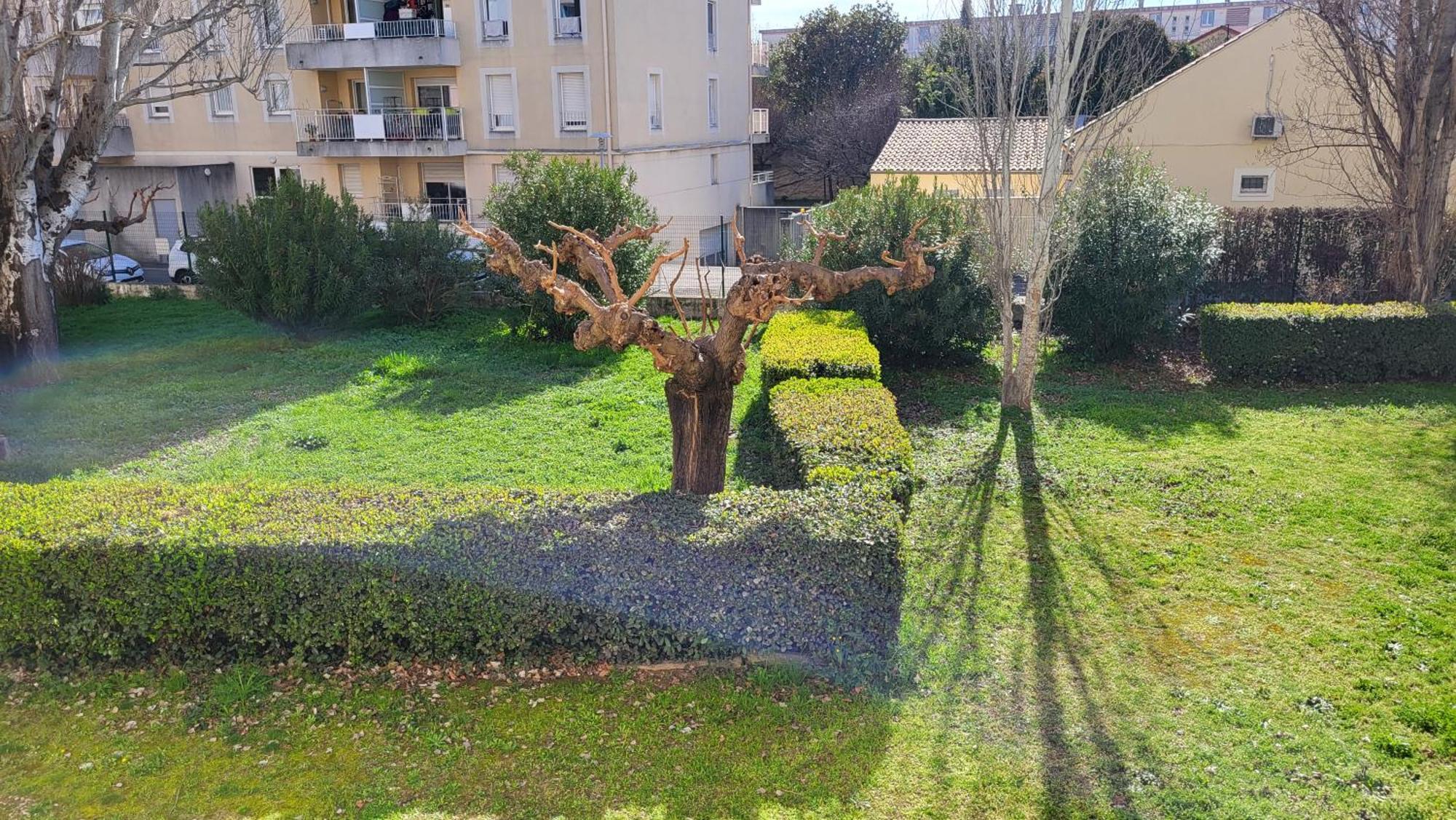 Ferienwohnung Les Tourterelles D'Avignon 2 Exterior foto